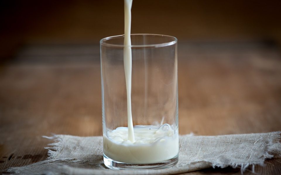 North Macedonia Food Inspectors Block Import of Contaminated Milk From Kosovo
